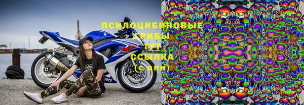 ГАЛЛЮЦИНОГЕННЫЕ ГРИБЫ Алексеевка