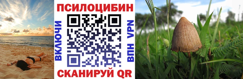 цена   Строитель  blacksprut ТОР  Галлюциногенные грибы Psilocybine cubensis 